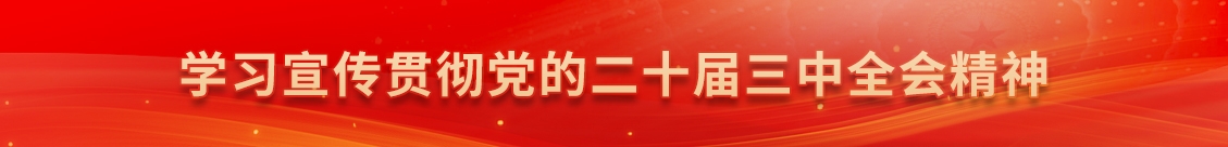 學(xué)習(xí)宣傳貫徹黨的二十屆三中全會精神